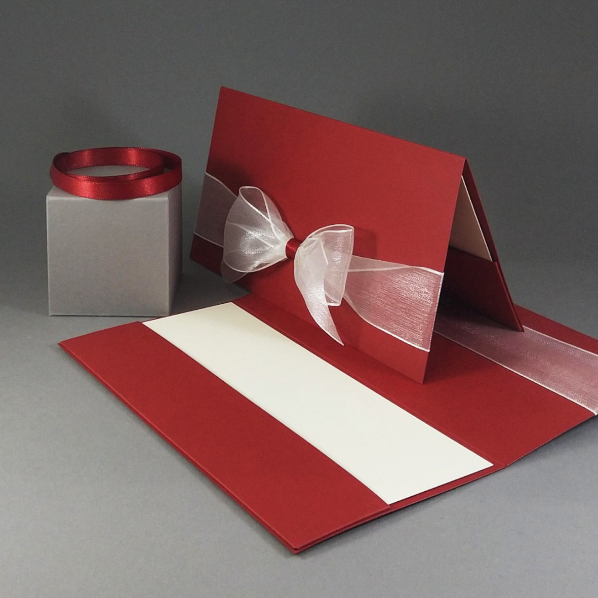 Dárková kapsa DL formátu z matného, mírně strukturovaného papíru vínově červené barvy, s aplikací z široké monofilové stuhy, celkový rozměr 206 × 106 mm.