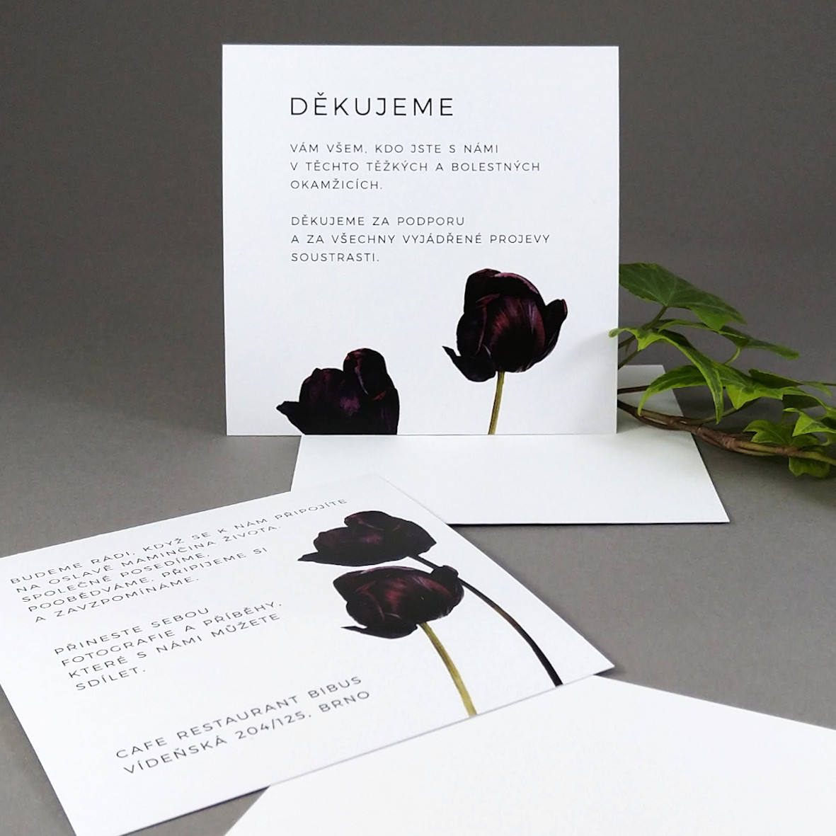 Pozvánka, informační karta – s motivem tmavých tulipánů, formát 100 × 100 mm, jednostranná