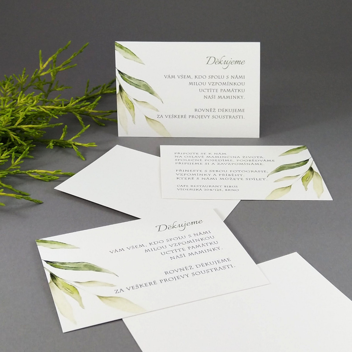Pozvánka, informační karta – s motivem vrbové větvičky, formát 100 × 70 mm, jednostranná