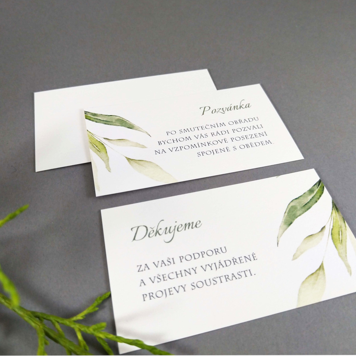 Pozvánka, informační karta – s motivem vrbové větvičky, formát 85 × 55 mm, jednostranná