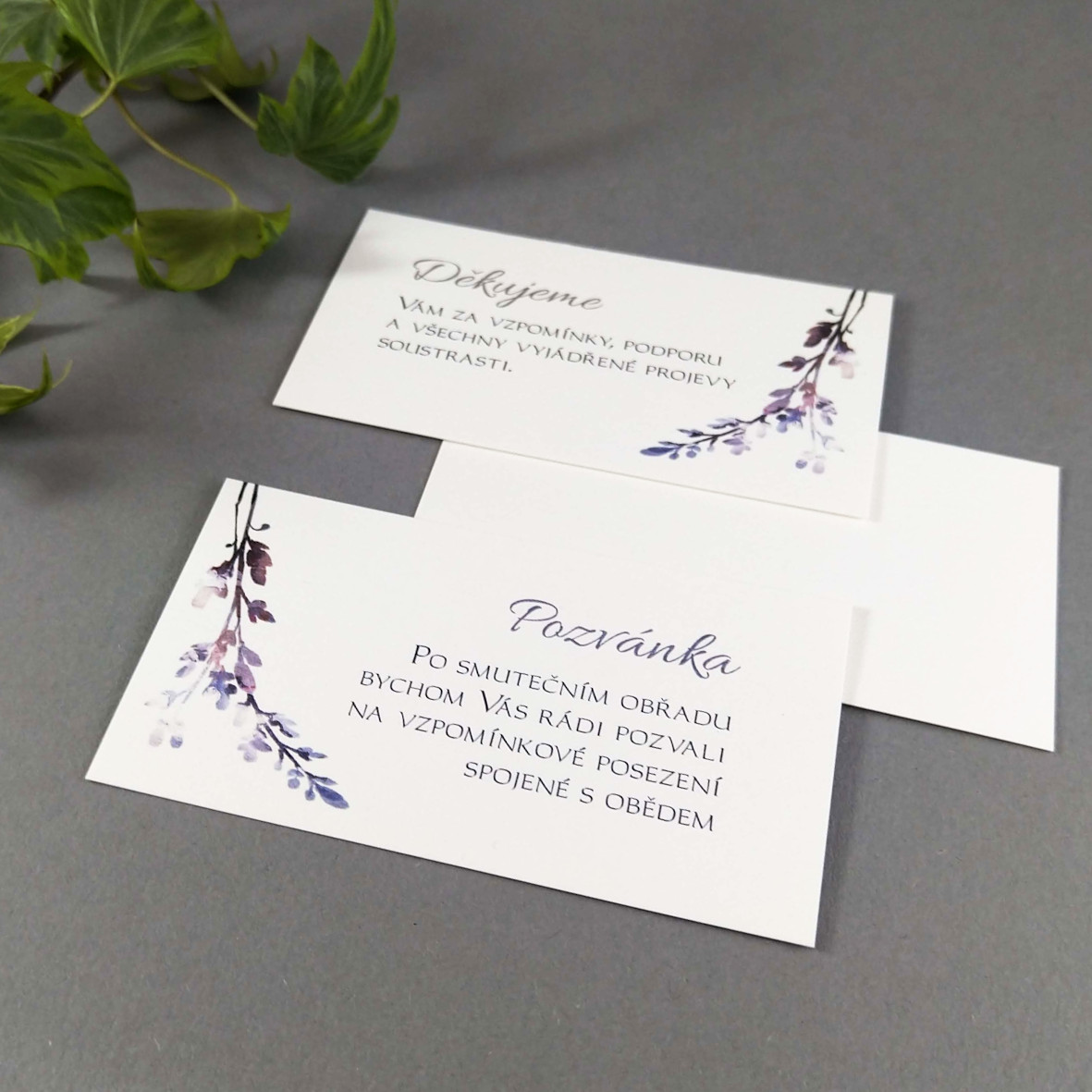 Pozvánka, informační karta – s motivem fialového vřesu, formát 85 × 55 mm, jednostranná