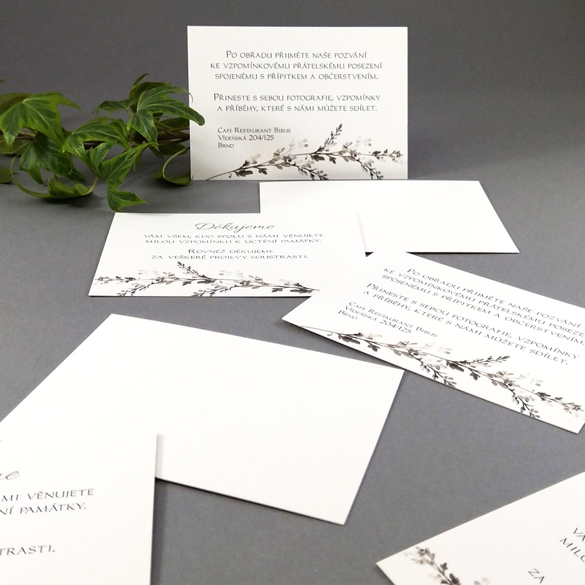 Pozvánka, informační karta – s motivem šedobílého vřesu, formát 100 × 70 mm, jednostranná