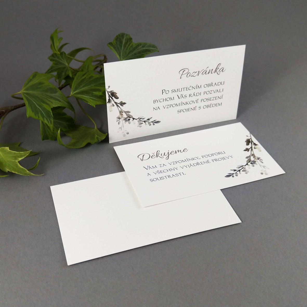 Pozvánka, informační karta – s motivem šedobílého vřesu, formát 85 × 55 mm, jednostranná