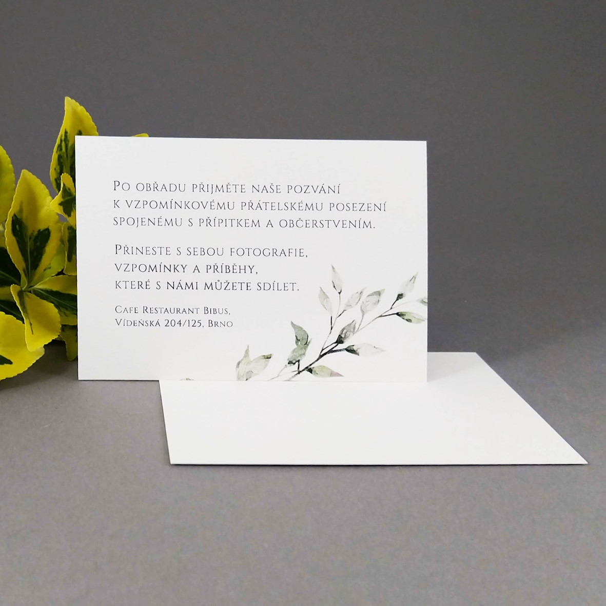 Pozvánka, informační karta – s motivem větvičky v šedozelené barvě, formát 100 × 70 mm, jednostranná