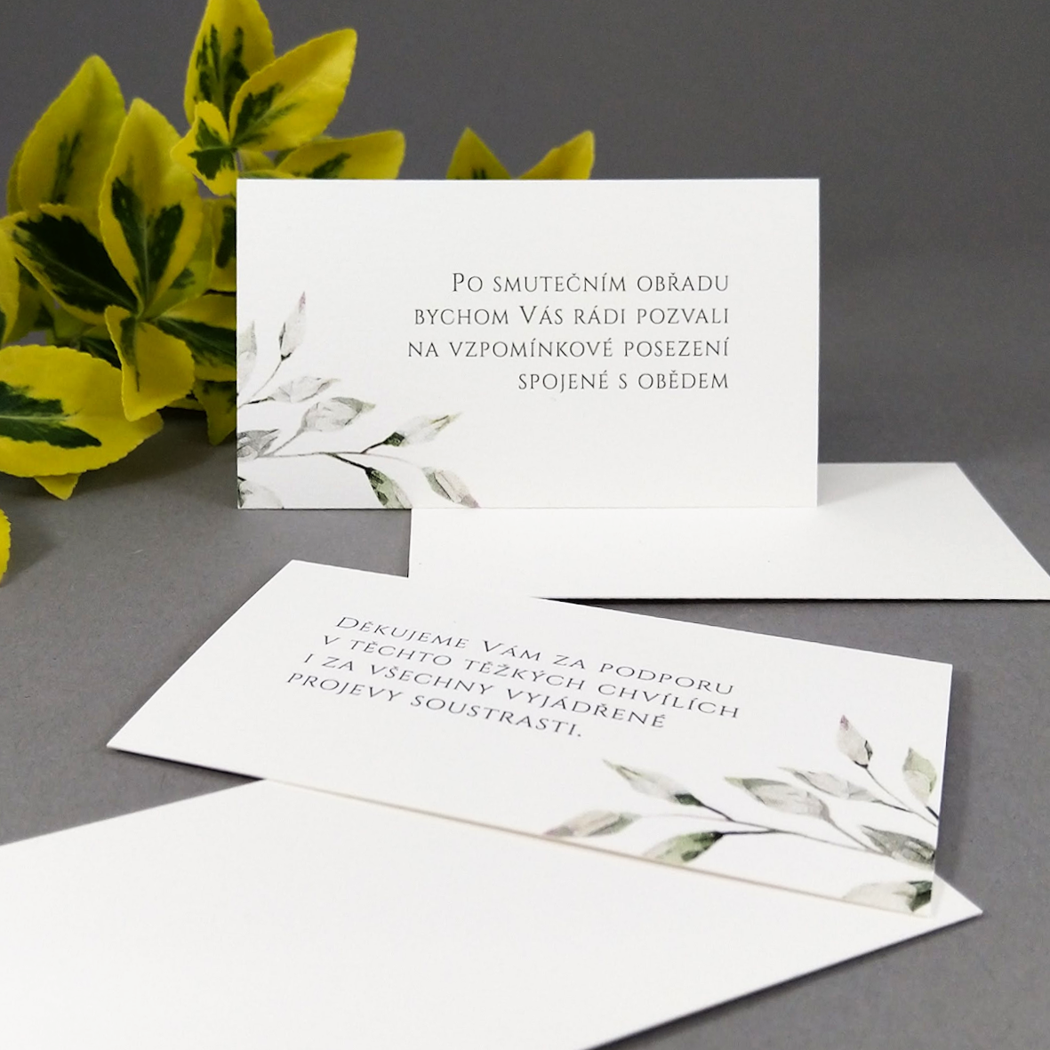 Pozvánka, informační karta – s motivem větvičky v šedozelené barvě, formát 85 × 55 mm, jednostranná