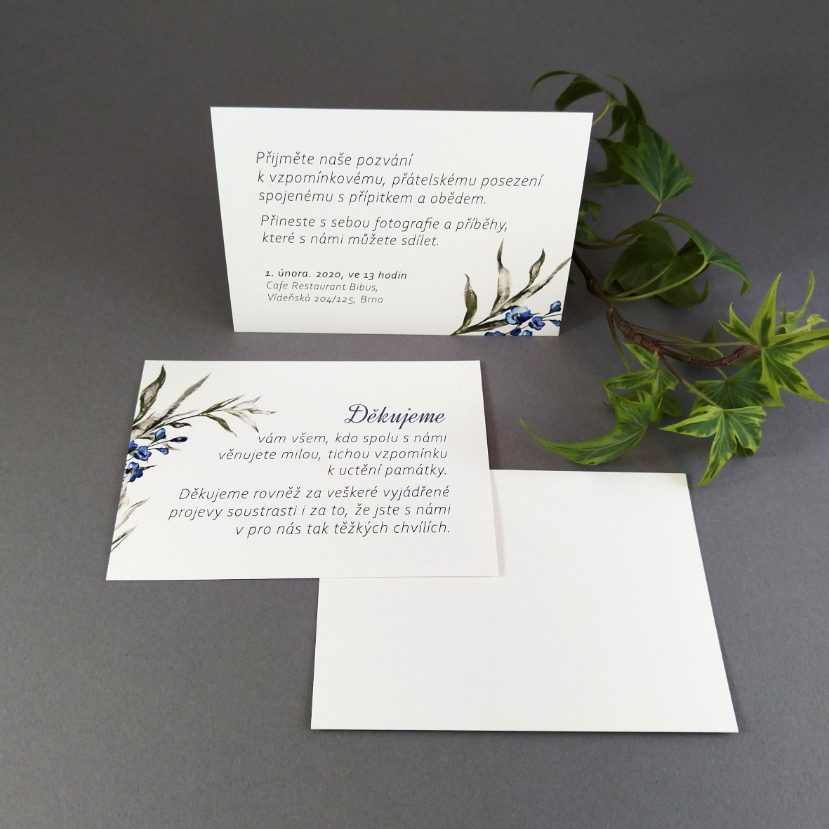 Pozvánka, informační karta – s motivem ratolesti a drobných modrých květů, formát 100 × 70 mm, jednostranná