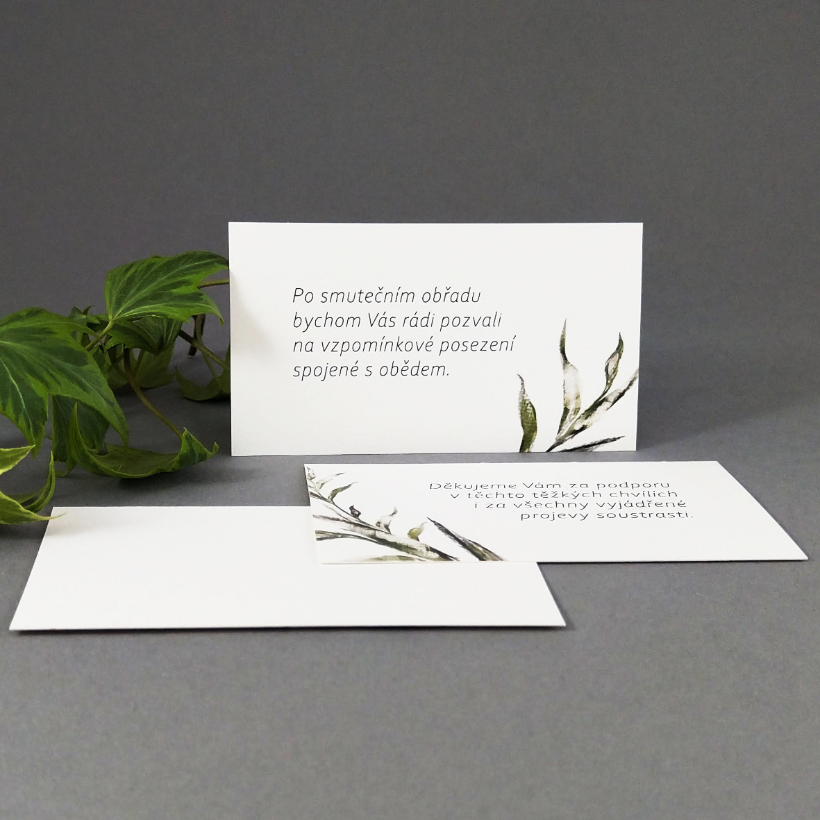 Pozvánka, informační karta – s motivem ratolesti, formát 85 × 55 mm, jednostranná