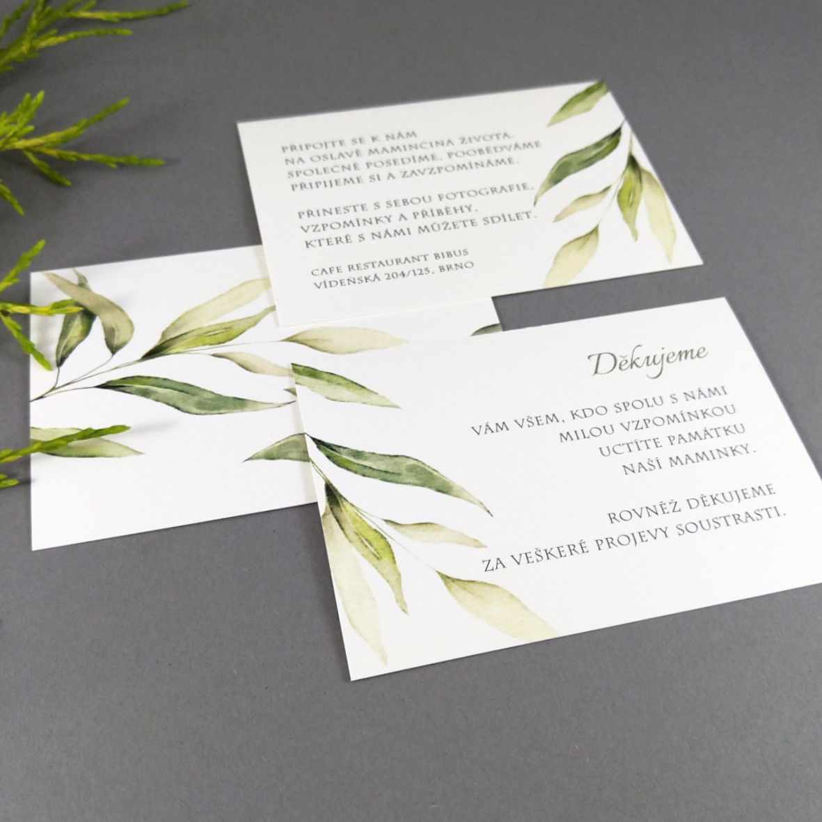 Pozvánka, informační karta – s motivem vrbové větvičky, formát 100 × 70 mm, oboustranná