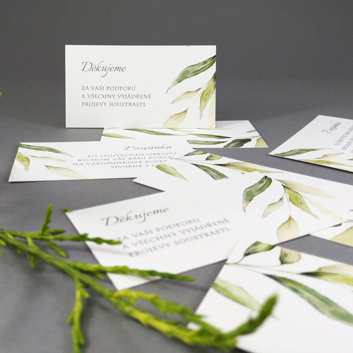 Pozvánka, informační karta – s motivem vrbové větvičky, formát 85 × 55 mm, oboustranná