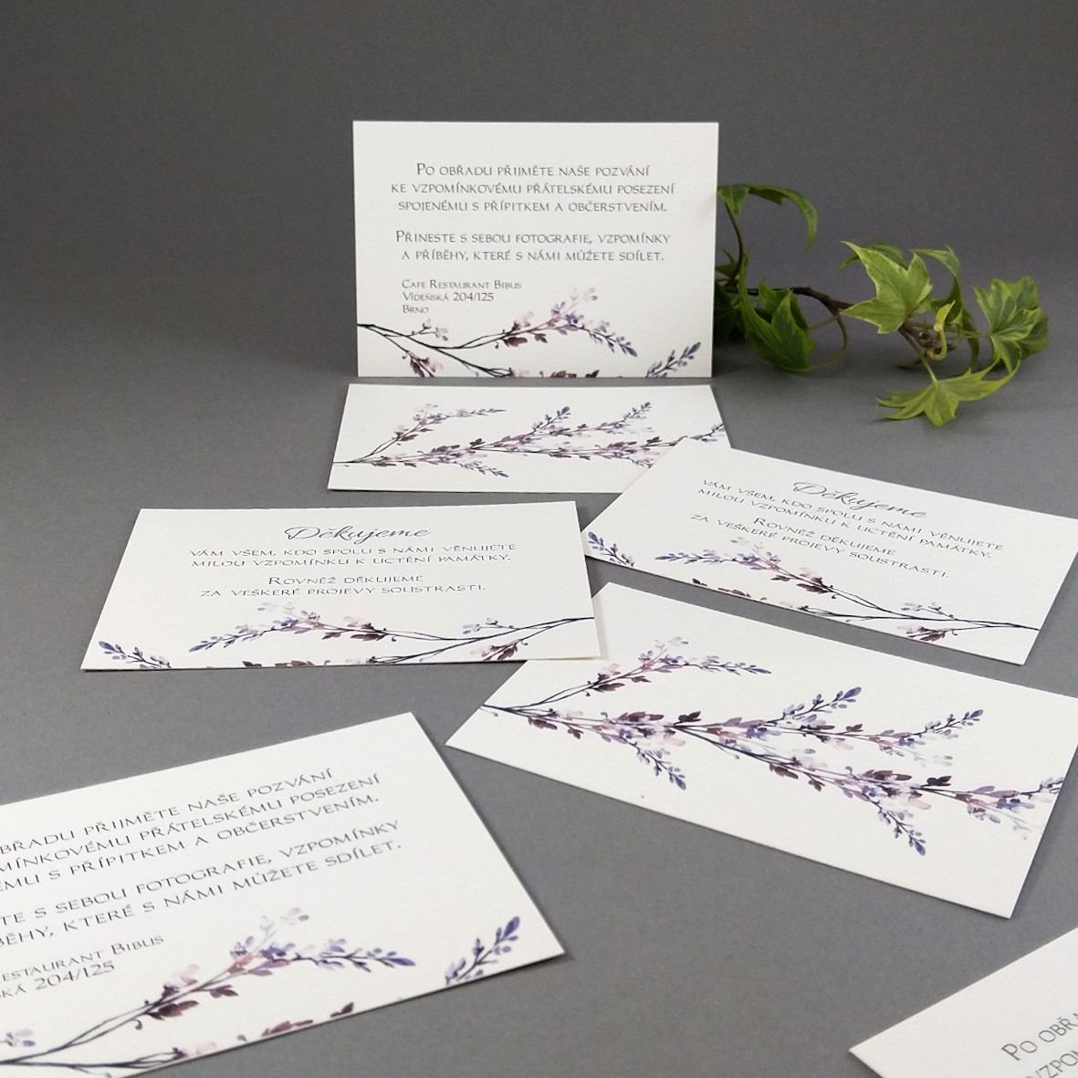 Pozvánka, informační karta – s motivem fialového vřesu, formát 100 × 70 mm, oboustranná