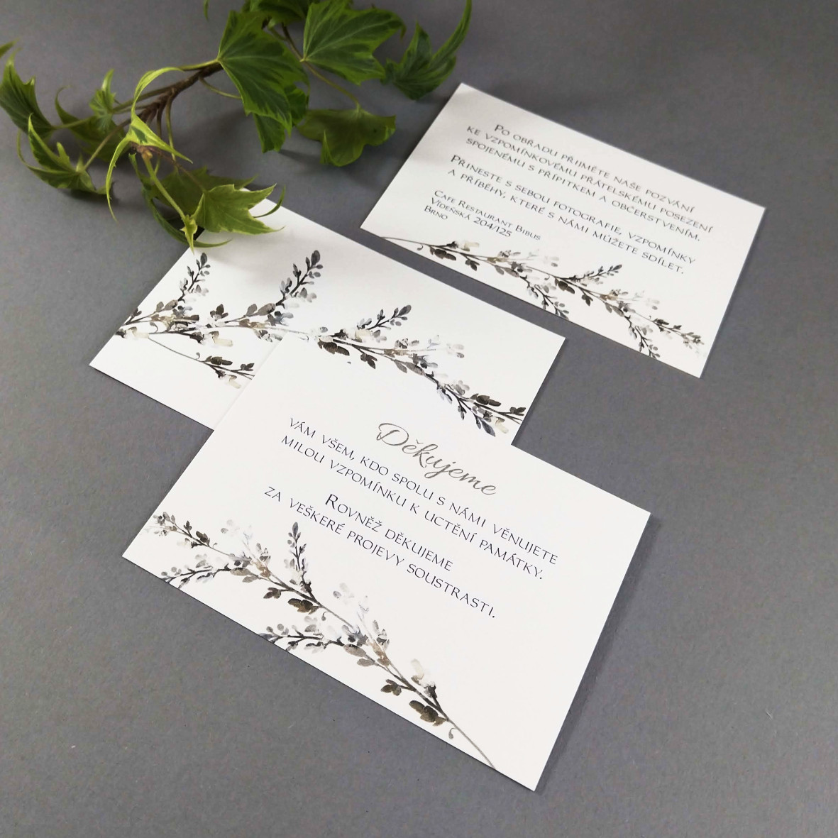 Pozvánka, informační karta – s motivem šedobílého vřesu, formát 100 × 70 mm, oboustranná