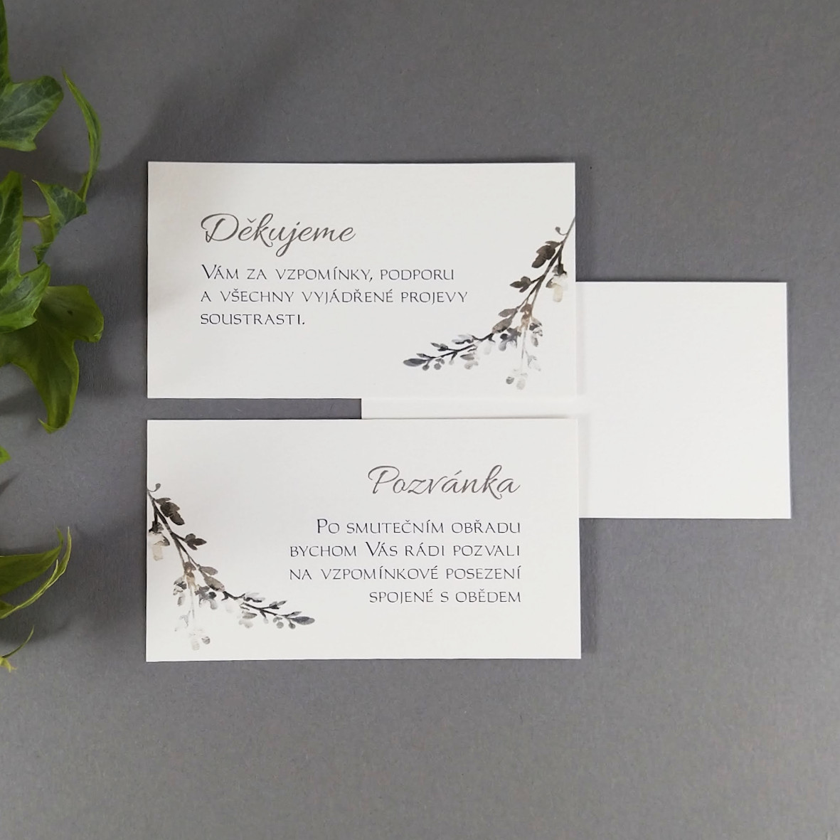 Pozvánka, informační karta – s motivem větvičky šedobílého vřesu, formát 85 × 55 mm, oboustranná