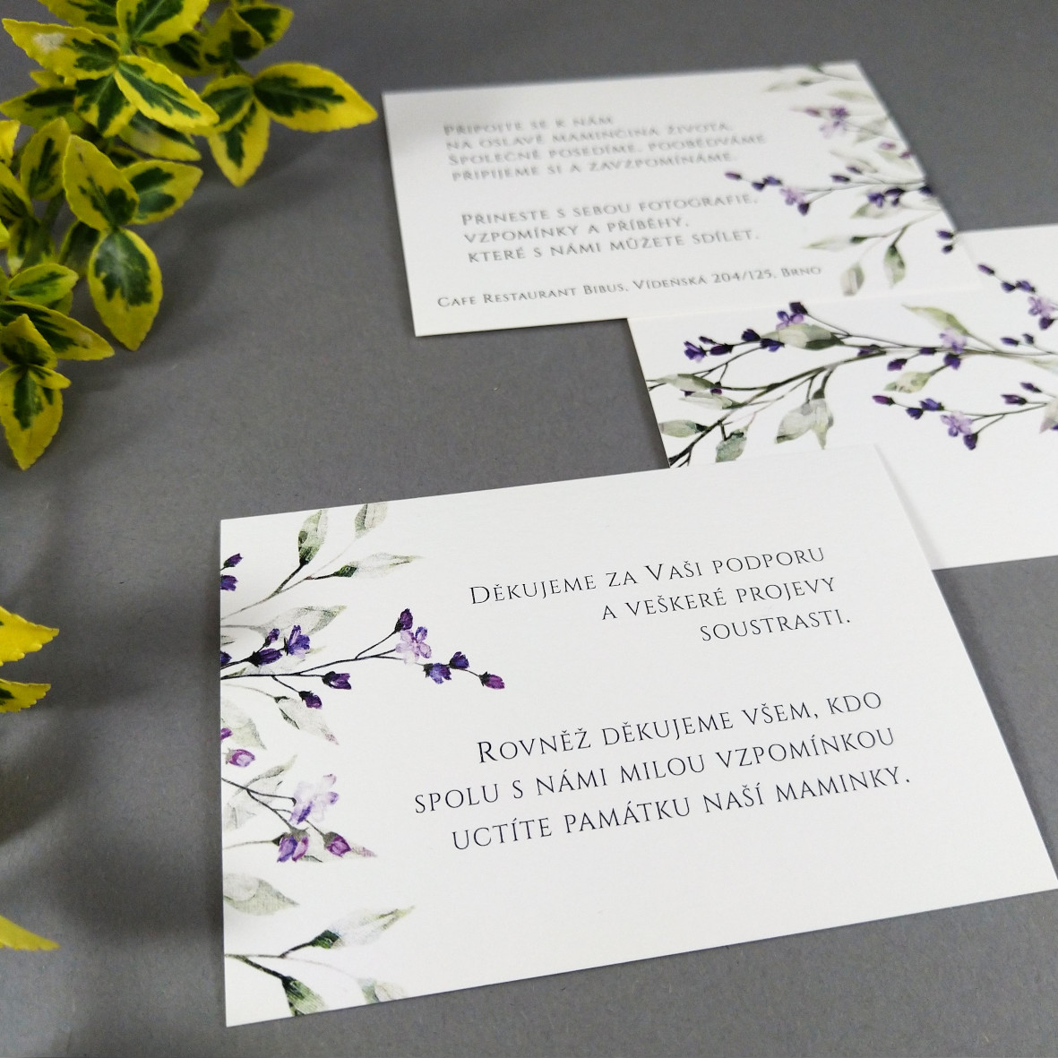 Pozvánka, informační karta – s motivem větvičky a drobných fialových květů, formát 100 × 70 mm, oboustranná