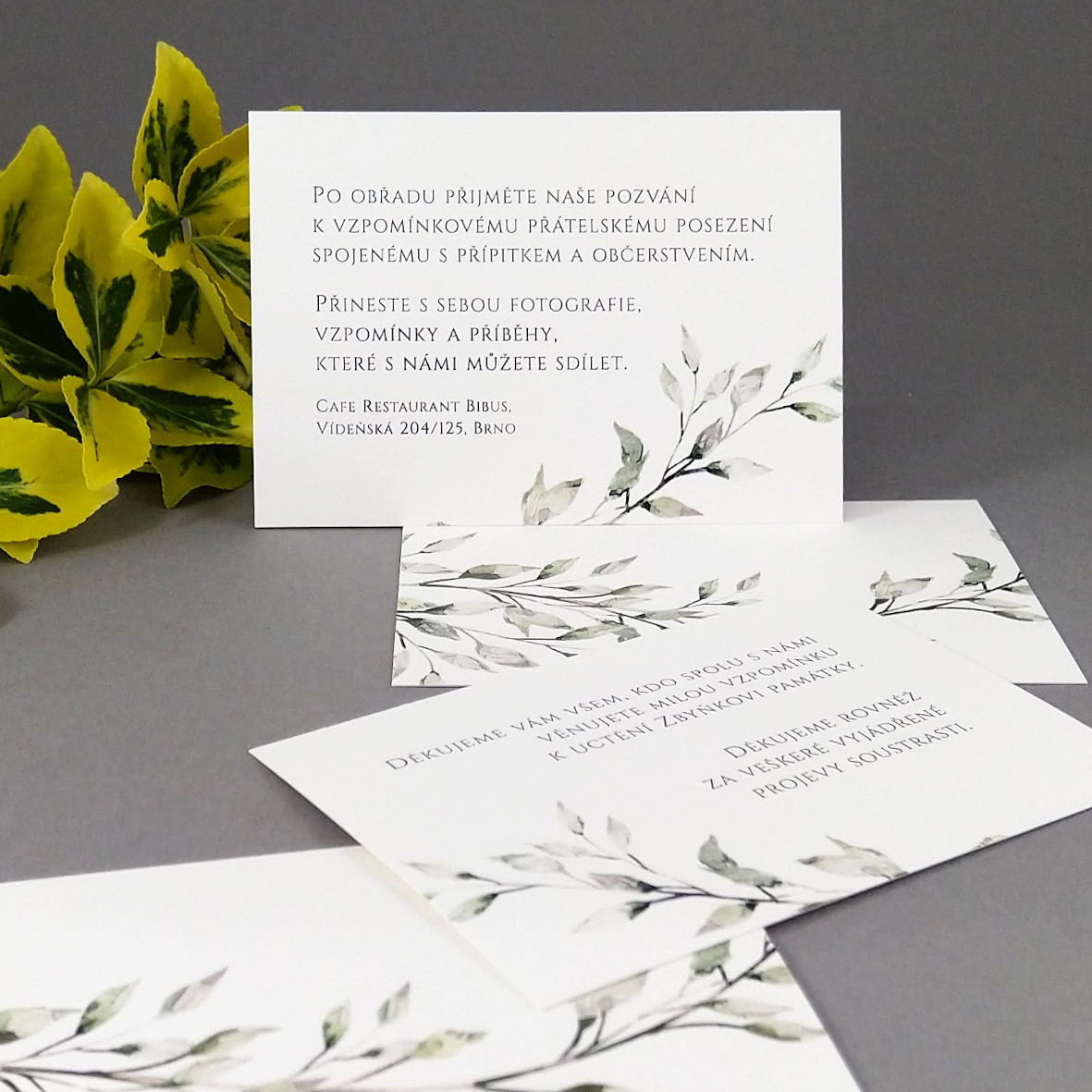 Pozvánka, informační karta – s motivem větvičky v šedozelené barvě, formát 100 × 70 mm, oboustranná