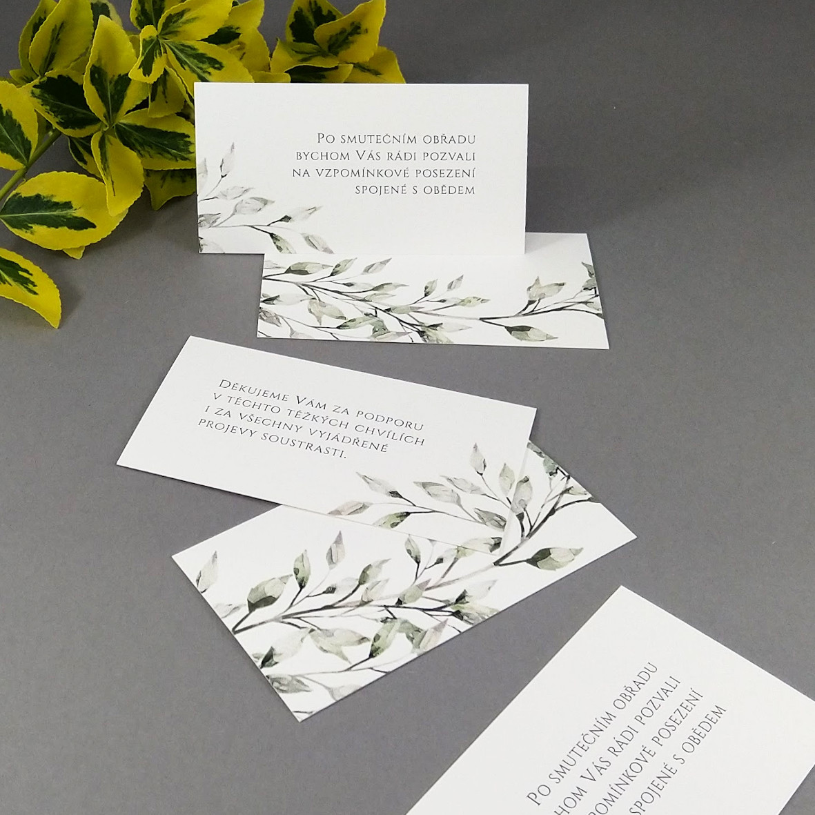Pozvánka, informační karta – s motivem větvičky v šedozelené barvě, formát 85 × 55 mm, oboustranná