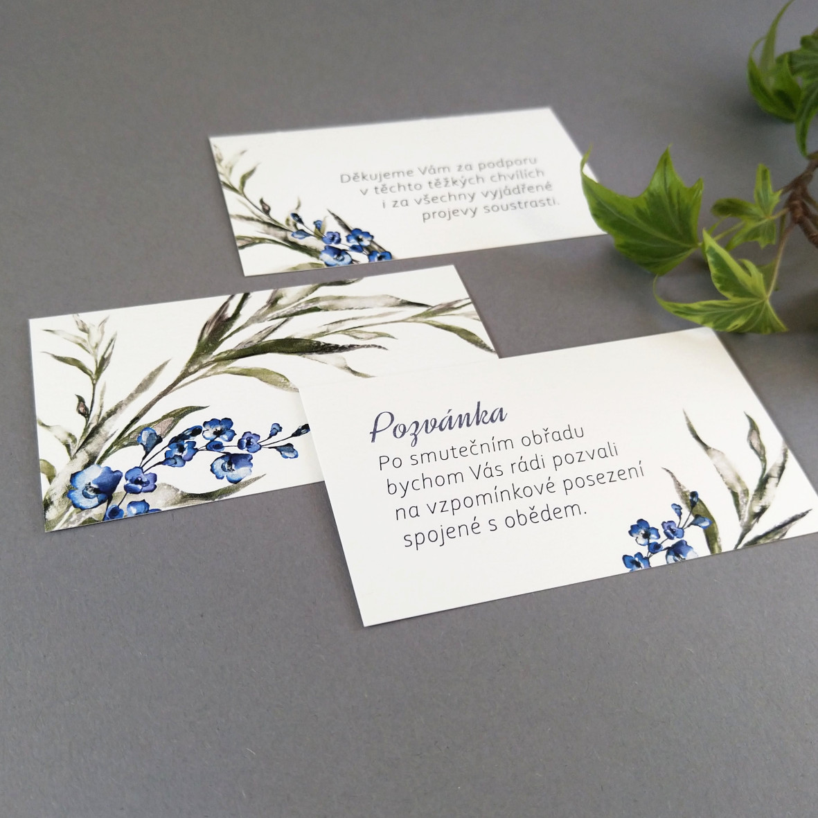 Pozvánka, informační karta – s motivem ratolesti a drobných modrých květů, formát 85 × 55 mm, oboustranná