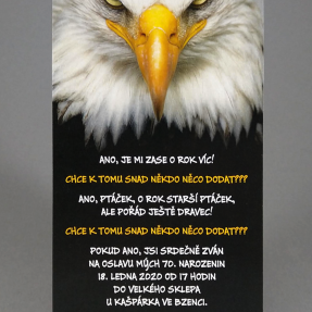 Pozvánka na narozeniny Pozvánka na narozeniny