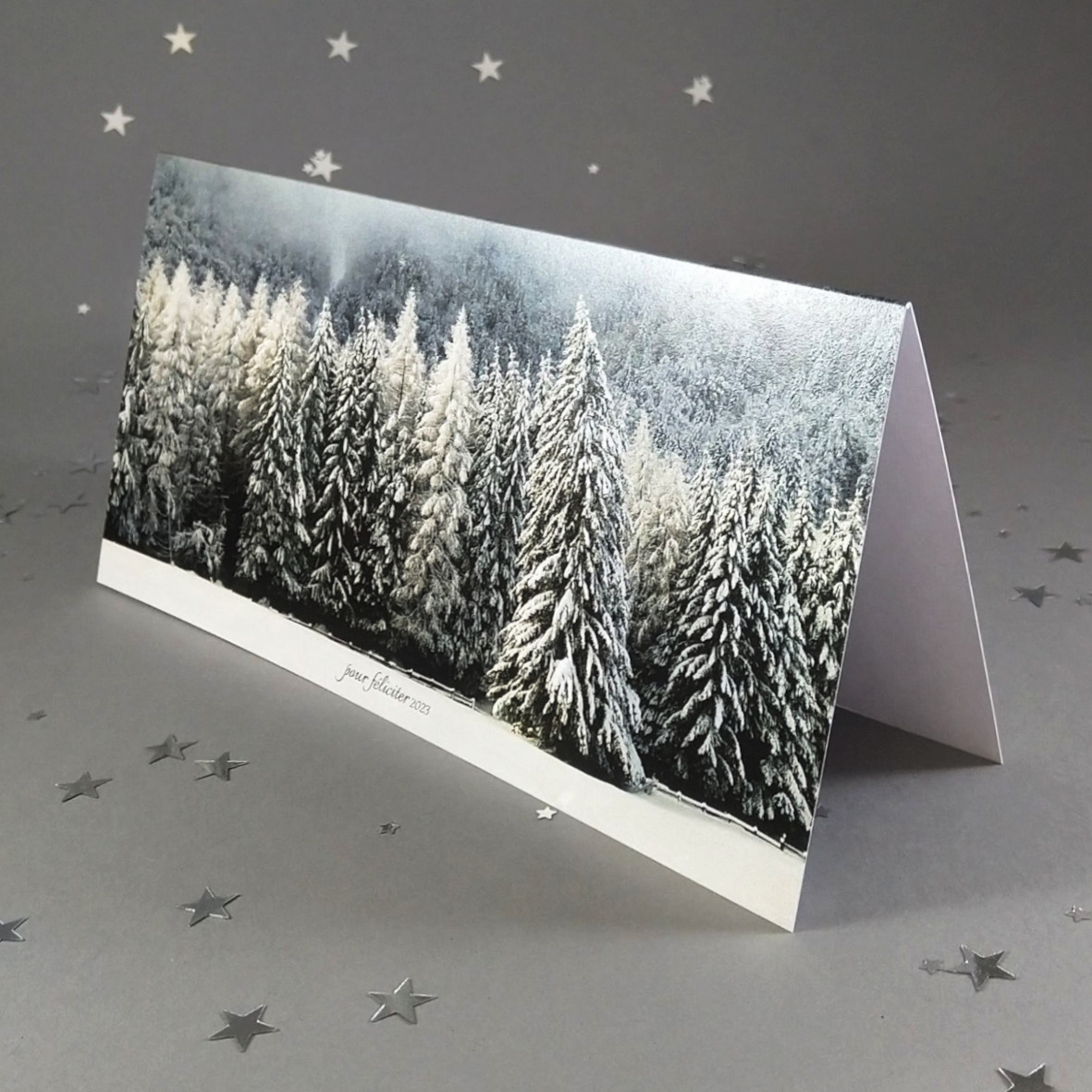 Novoroční přání s motivem zasněženého lesa. Otevírací, formát 200 × 100 mm, digitální tisk, bílý perleťový papír.