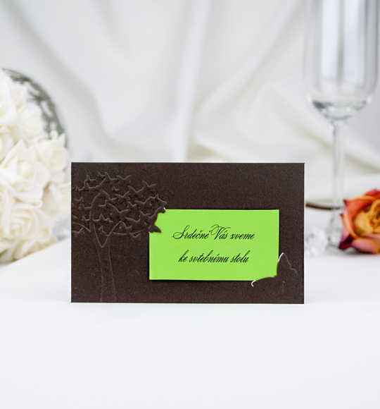 Pozvánka, informační karta – z hnědého grafického papíru, zdobena slepotiskem stromu z motýlků, a do zámečků je vložena zelená kartička, 105 × 65 mm, jednostranná